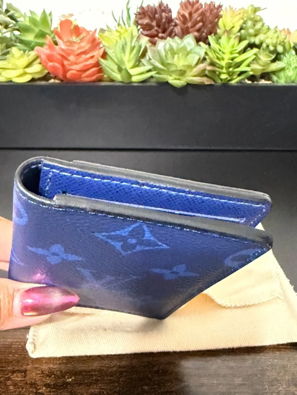 Louis Vuitton Blue Taigarama Monogram Pocket Organizer